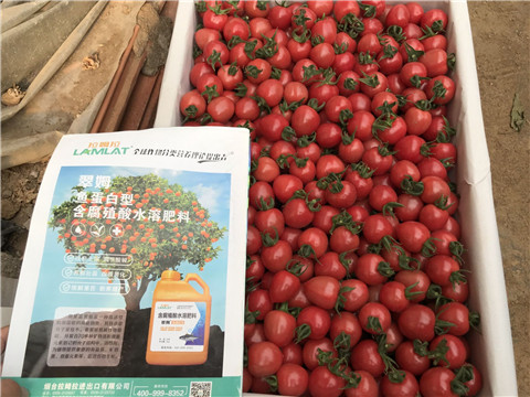 微生物菌劑，磷酸二氫鉀，翠姆，拉姆拉