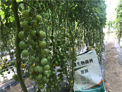 微生物菌劑，磷酸二氫鉀，翠姆，拉姆拉