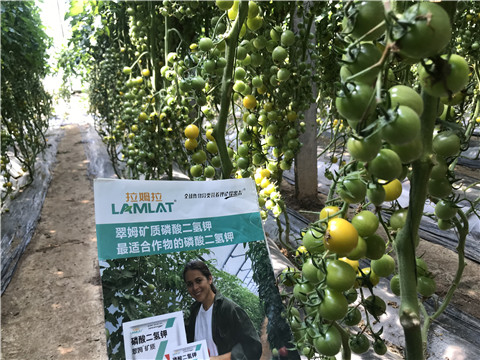 微生物菌劑，磷酸二氫鉀，翠姆，拉姆拉