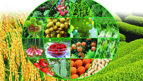 水溶肥，拉姆拉，翠姆