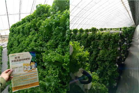 水溶肥，拉姆拉，翠姆