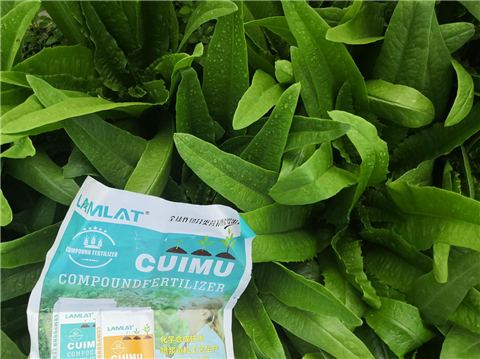 水溶肥，翠姆，拉姆拉