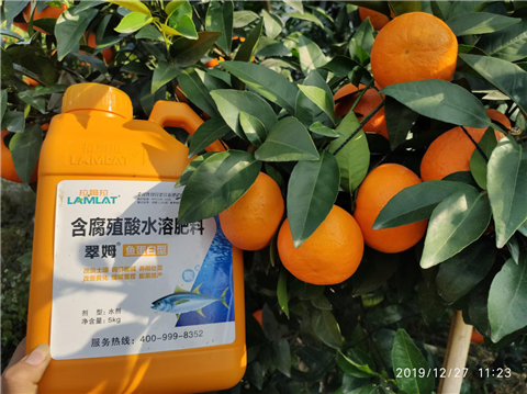 水溶肥，翠姆，拉姆拉