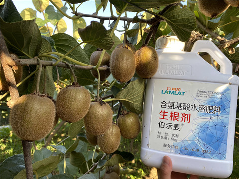 水溶肥，拉姆拉