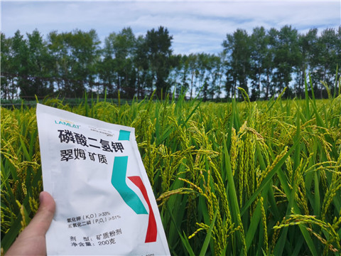 磷酸二氫鉀，拉姆拉，翠姆