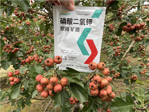 磷酸二氫鉀，拉姆拉，翠姆