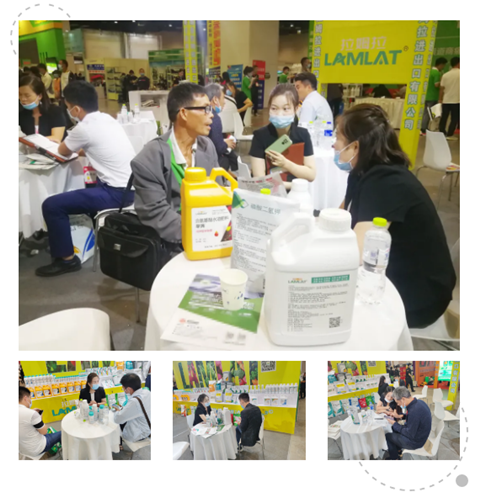 廣西植保會(huì),拉姆拉 廣西植保會(huì),拉姆拉