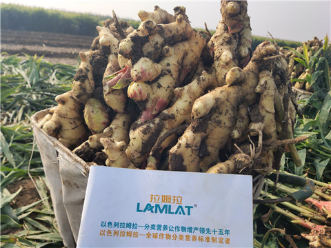 進(jìn)口水溶肥，翠姆，拉姆拉