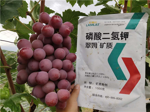 進口水溶肥，拉姆拉，翠姆