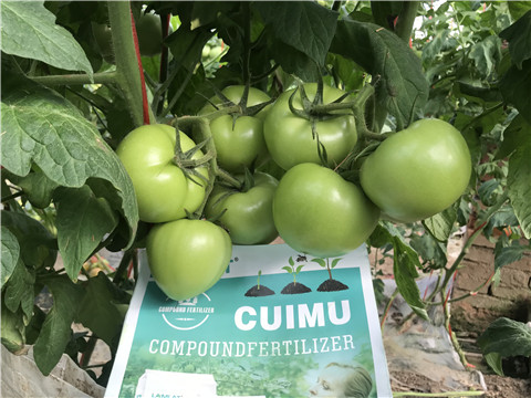 葉面肥，磷酸二氫鉀，微生物菌劑，翠姆，拉姆拉