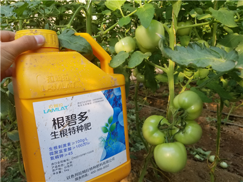 葉面肥，磷酸二氫鉀，微生物菌劑，翠姆，拉姆拉