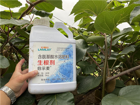 水溶肥，生根劑，微生物菌劑，伯示麥，拉姆拉