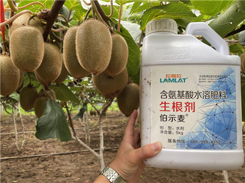 水溶肥，生根劑，微生物菌劑，伯示麥，拉姆拉