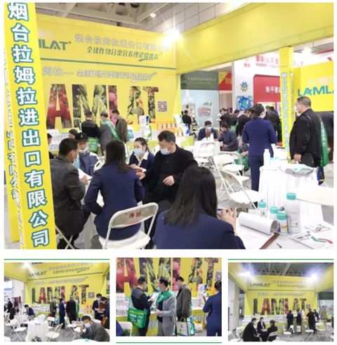 水溶肥，拉姆拉，翠姆