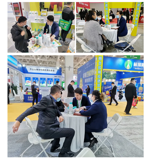 水溶肥，拉姆拉，翠姆