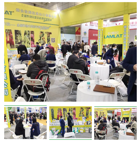 水溶肥，拉姆拉，翠姆