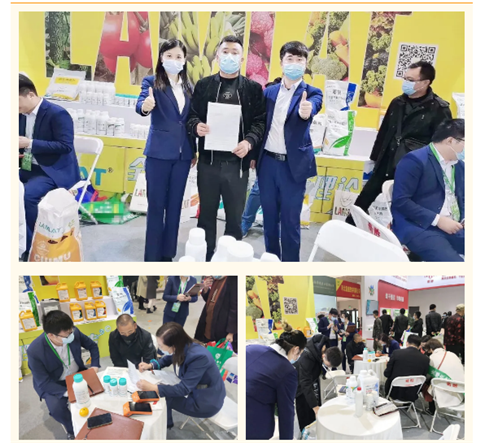 水溶肥，拉姆拉，翠姆