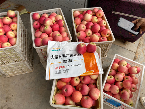 水溶肥，大量元素水溶肥，翠姆，拉姆拉