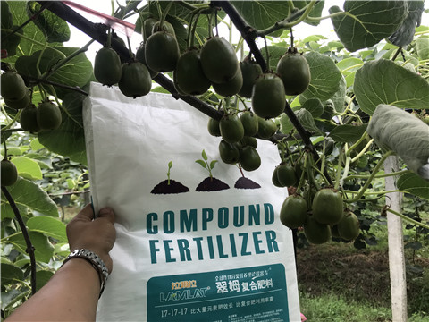 顆粒水溶肥，拉姆拉，翠姆