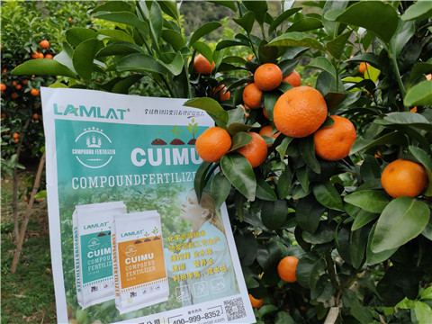 顆粒水溶肥，拉姆拉，翠姆