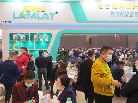 進(jìn)口水溶肥，拉姆拉，翠姆