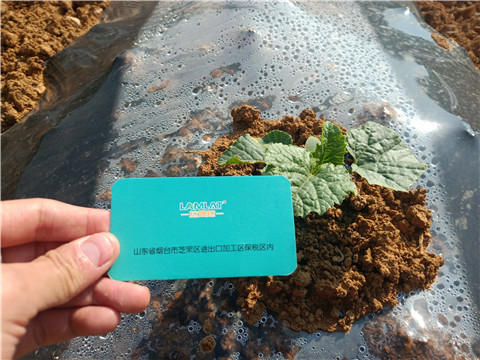 水溶肥，拉姆拉