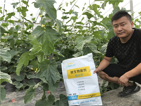 水溶肥，拉姆拉