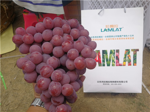 葉面肥，磷酸二氫鉀，鈣肥，翠姆，拉姆拉