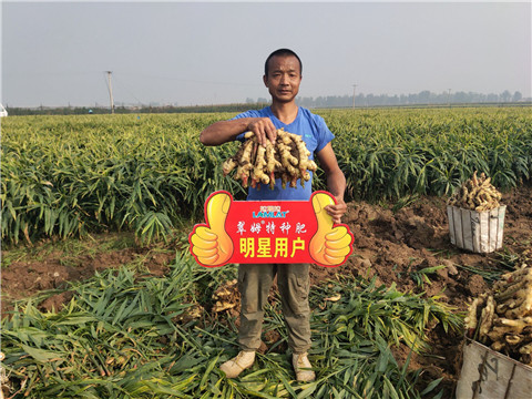 進(jìn)口水溶肥，拉姆拉，翠姆