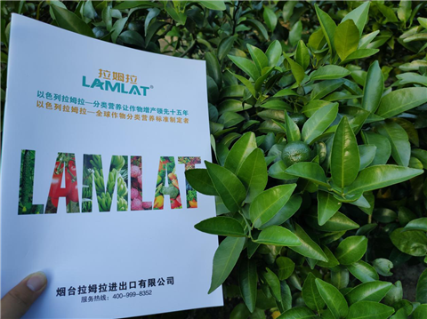 水溶肥，拉姆拉，翠姆
