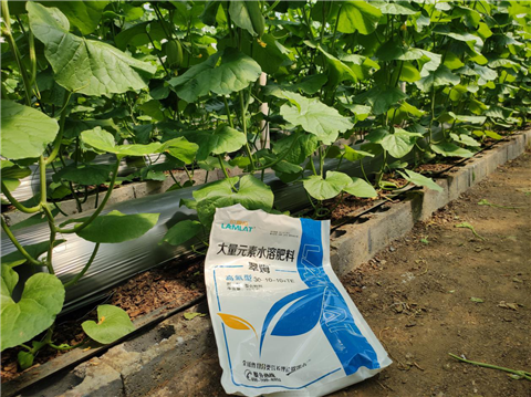 大量元素水溶肥，拉姆拉，翠姆