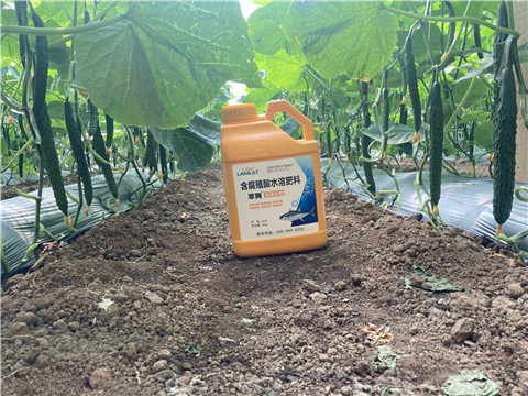 水溶肥，拉姆拉，翠姆