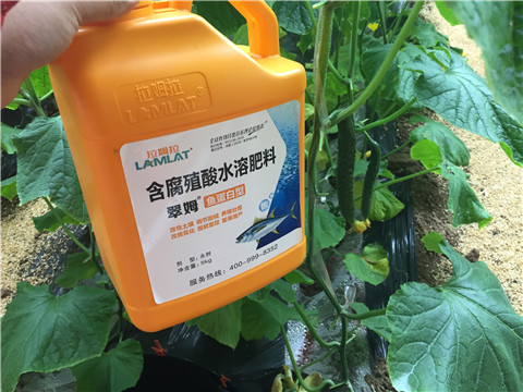 滴灌肥，拉姆拉，翠姆