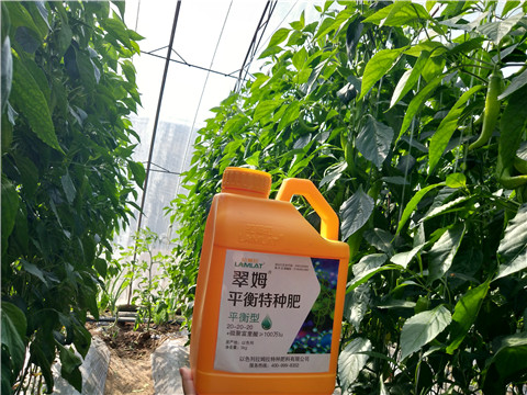 滴灌肥，拉姆拉，翠姆