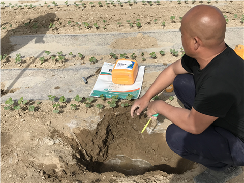 水溶肥，拉姆拉，翠姆