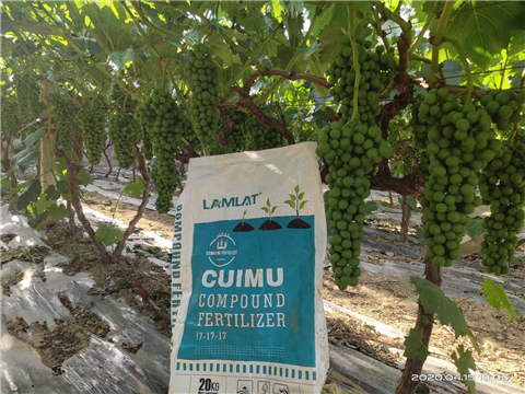 水溶肥，拉姆拉，翠姆