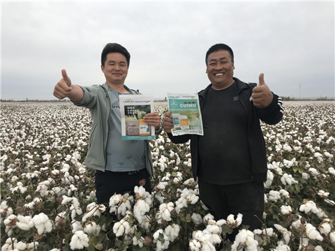 棉花，水溶肥，拉姆拉，翠姆
