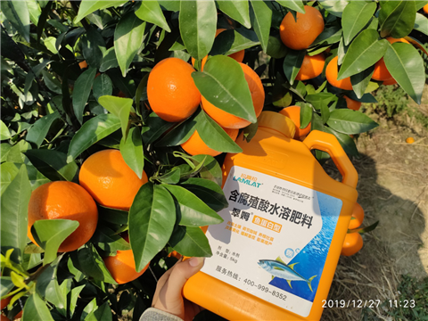 水溶肥，拉姆拉，翠姆