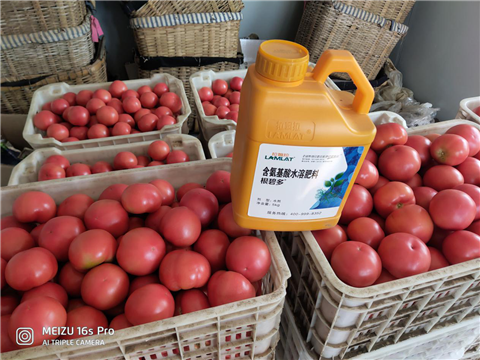 水溶肥，拉姆拉，翠姆