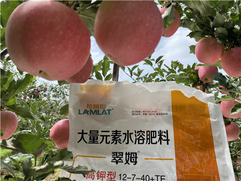 大量元素水溶肥，拉姆拉，翠姆