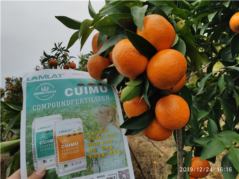 進(jìn)口水溶肥，拉姆拉，翠姆