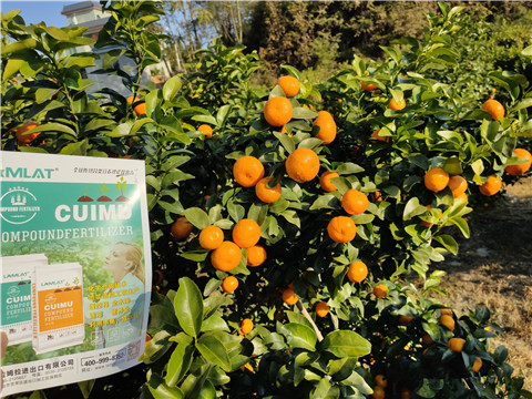 進(jìn)口水溶肥，拉姆拉，翠姆