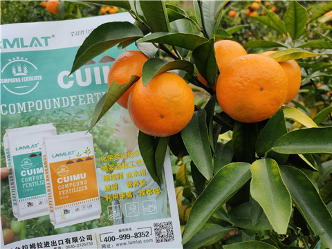 顆粒水溶肥，拉姆拉，翠姆