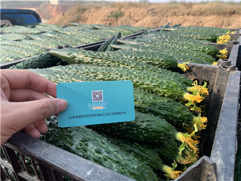 水溶肥，拉姆拉，伯示麥