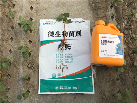 水溶肥，拉姆拉，翠姆