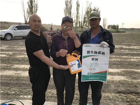 水溶肥，拉姆拉，翠姆