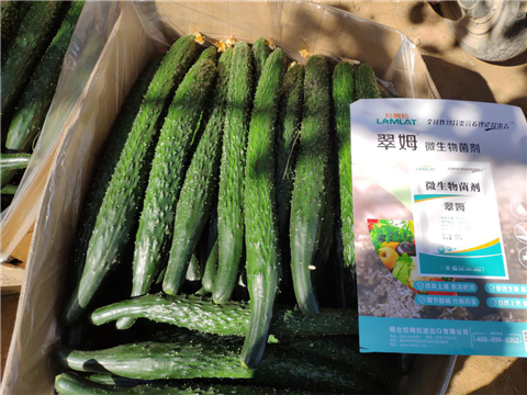 微生物菌劑，拉姆拉，翠姆