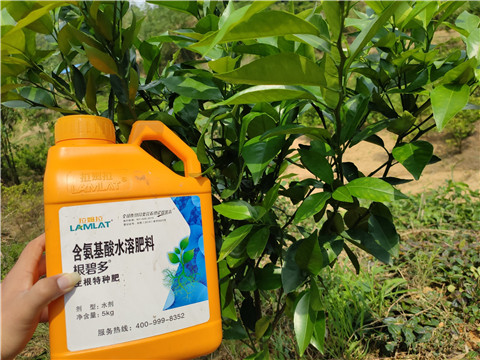 沖施肥，拉姆拉，翠姆