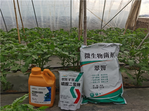 水溶肥，拉姆拉，翠姆