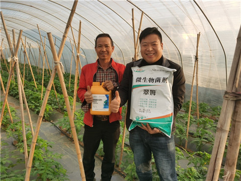 水溶肥，拉姆拉，翠姆